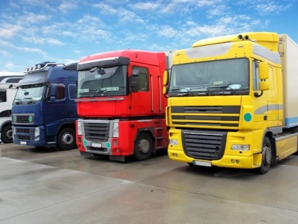 Adana Ihlamur Nakliye